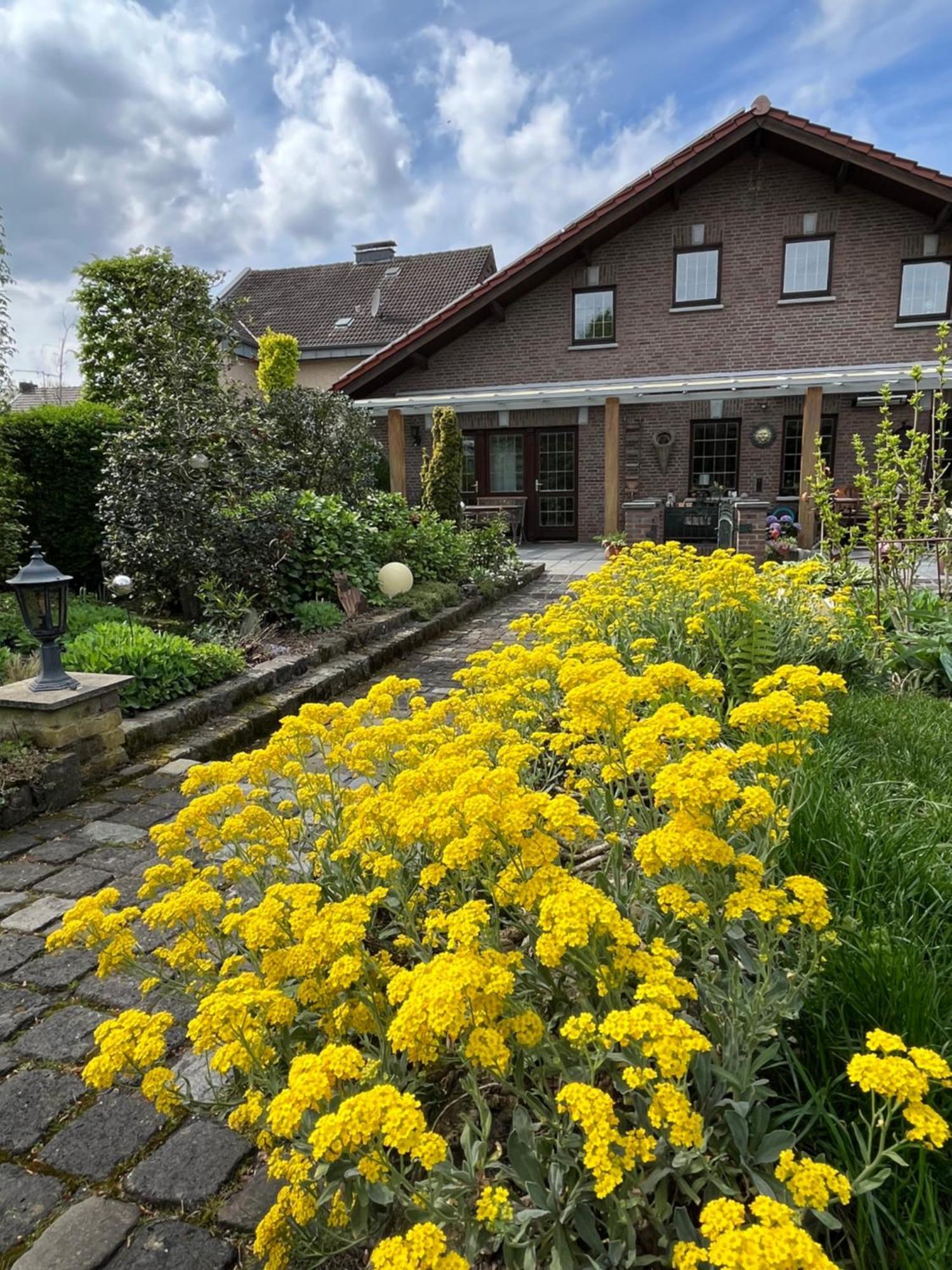 Ferienwohnung Jansen Selfkant Экстерьер фото